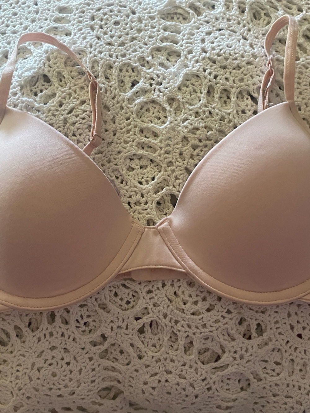 Hanes Light Blush Pink Everyday T-Shirt Bra Size 38A